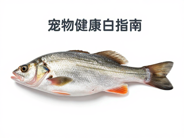 天然猎物鱼类高蛋白好消化,宠物健康饮食指南