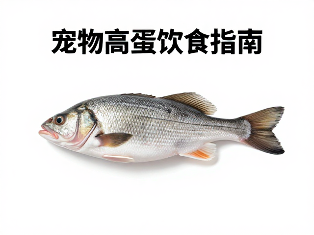 天然猎物鱼类高蛋白好消化,宠物健康饮食指南