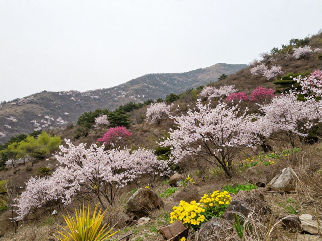 春季赏花攻略，20-25℃适宜温度，邂逅生态链关键物种