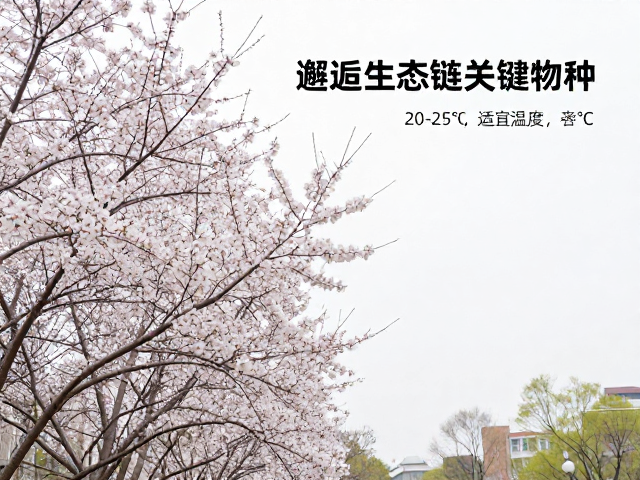 春季赏花攻略，20-25℃适宜温度，邂逅生态链关键物种