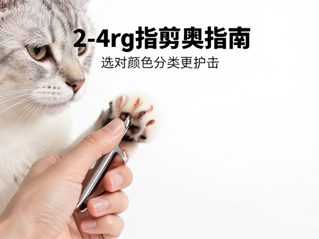 母猫2-4公斤指甲修剪指南,选对颜色分类更护爪