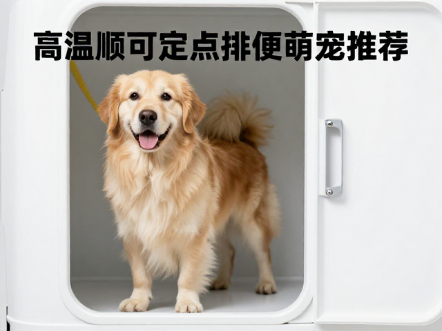 宠物展热门！高温顺可定点排便萌宠推荐