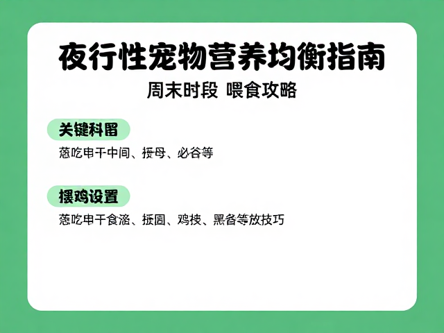 夜行性宠物营养均衡指南,周末活动时段喂食攻略