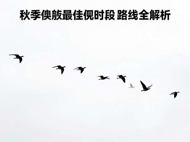 候鸟快速逃离寒冬!秋季迁徙最佳观赏时段与路线全解析
