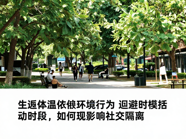 体温依赖环境下的回避同类行为,活动时段如何影响社交隔离