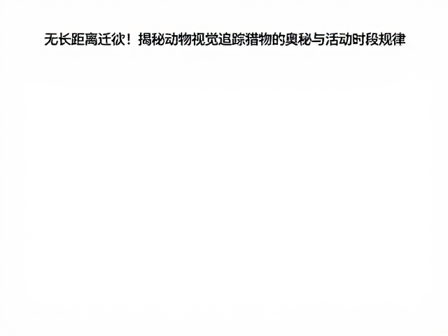 无长距离迁徙!揭秘动物视觉追踪猎物的奥秘与活动时段规律