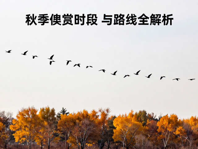 候鸟快速逃离寒冬!秋季迁徙最佳观赏时段与路线全解析