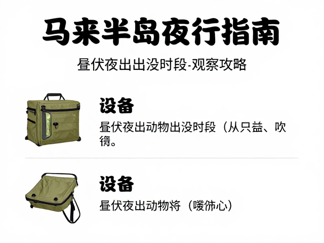 马来半岛夜行指南,昼伏夜出动物出没时段与观测攻略