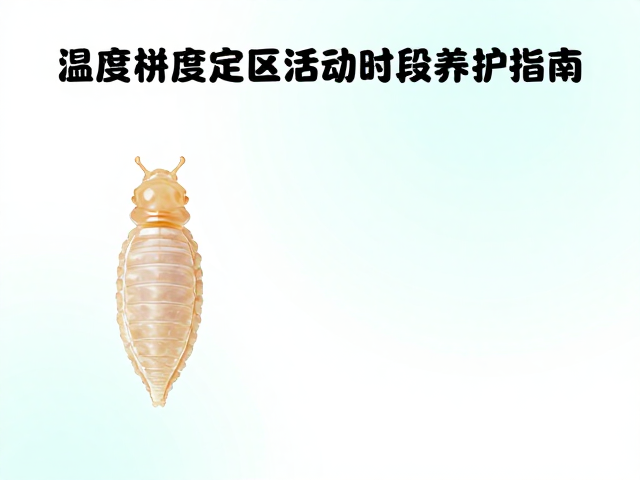 温度梯度定区间，湿度控蜕皮，活动时段养护指南