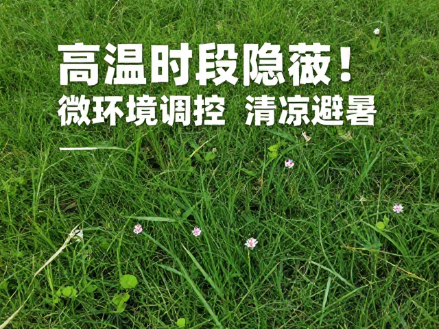 高温时段隐蔽！微环境调控助活动时段清凉避暑