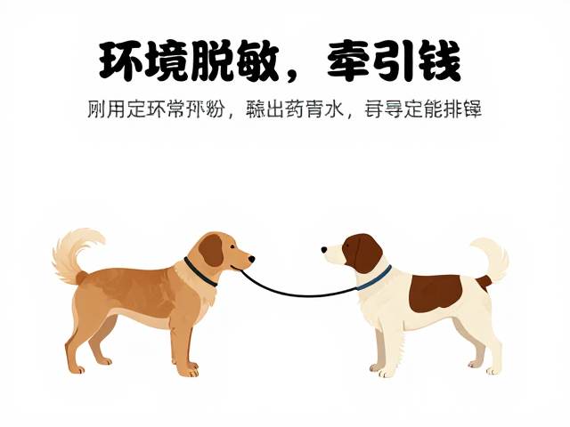 如厕训练难?用环境脱敏,牵引绳法,轻松搞定狗狗定点排泄