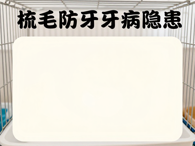 梳毛防牙病隐患,笼内适应训练全攻略