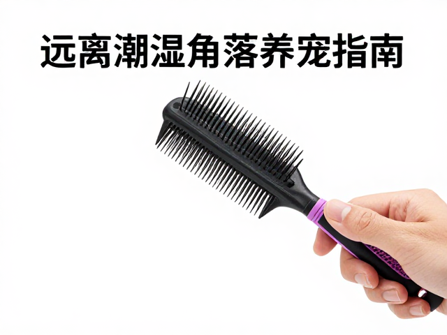 梳毛技巧与防牙病,远离潮湿角落养宠指南