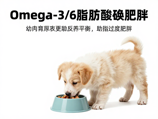 幼犬喂食指南，Omega-3/6脂肪酸助避免过度肥胖