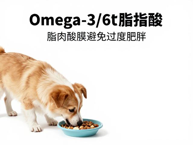 幼犬喂食指南,Omega-3/6脂肪酸助避免过度肥胖