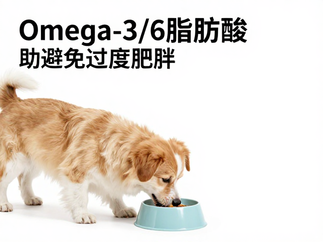 幼犬喂食指南,Omega-3/6脂肪酸助避免过度肥胖