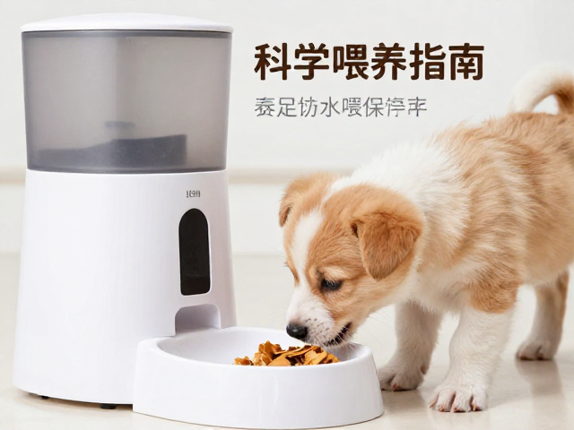 幼犬喂食用自动喂食器吗？每日充足饮水与科学喂养指南