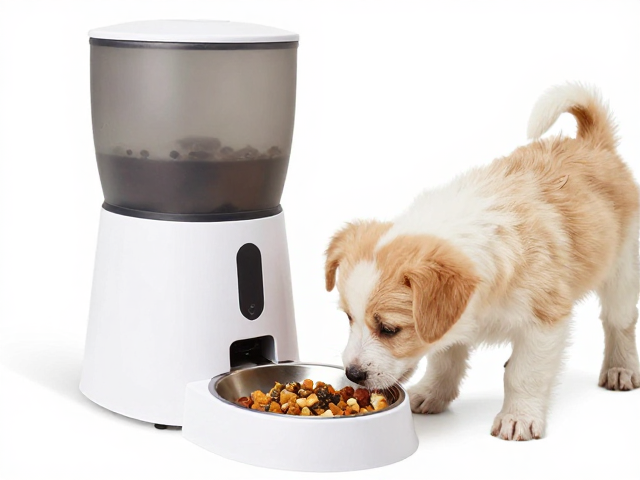 幼犬喂食怎么控热量?自动喂食器精准定量,告别肥胖隐患