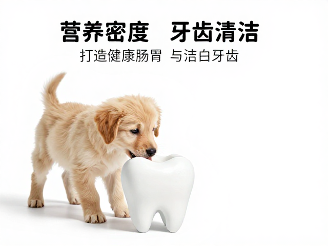 幼犬喂食难?高营养密度,牙齿清洁,打造健康肠胃与洁白牙齿