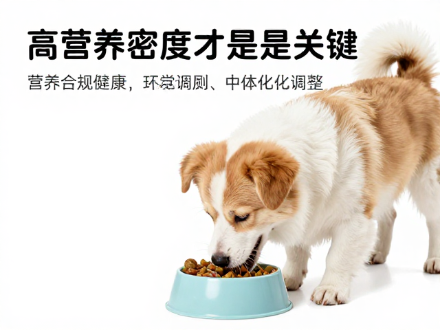 幼犬喂食避坑，盲目补钙危害大，高营养密度才是关键