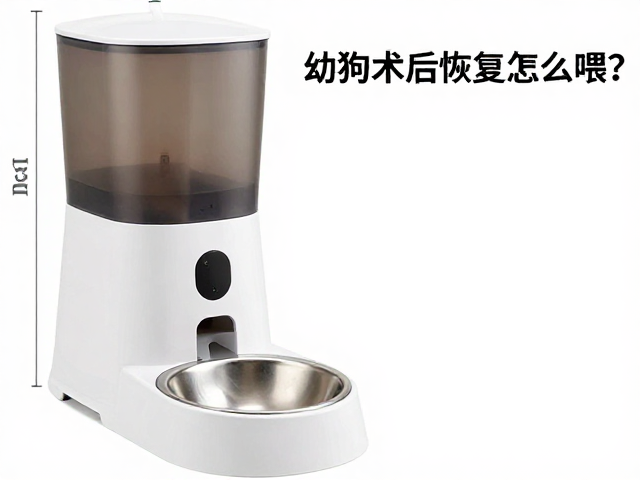 幼犬术后恢复怎么喂?自动喂食器搭配科学饮食指南