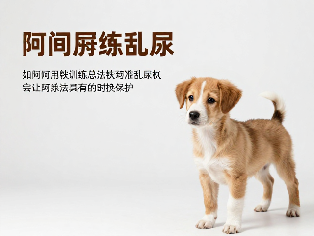 幼犬如厕训练与关节保护,标记法快速纠正乱尿