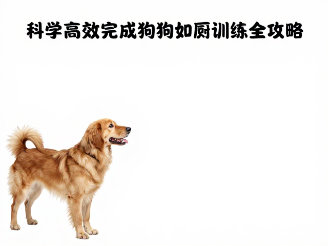衔取游戏结合响片训练,科学高效完成狗狗如厕训练全攻略
