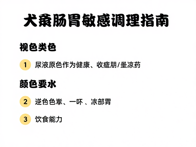 幼犬肠胃敏感期调理,通过观察尿液颜色判断健康,科学喂食指南