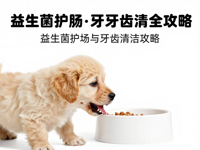 幼犬喂食指南，益生菌护肠与牙齿清洁全攻略