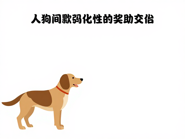 人狗互动技巧,用间歇性奖励高效完成如厕训练