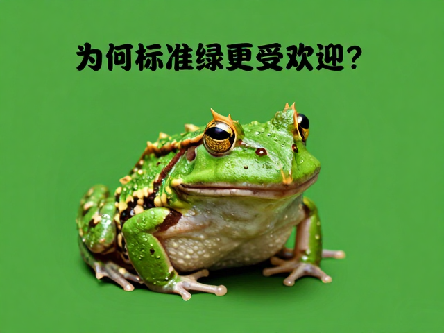 黄金角蛙鲜绿色体色特征解析,为何标准绿更受欢迎?