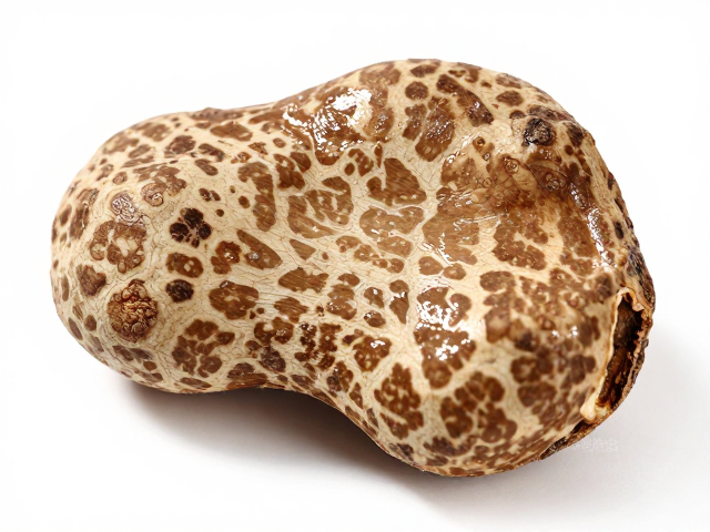 体表斑纹、皮肤湿润有光泽、淋巴腺发达,如何辨别优质药材?