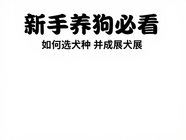 新手养狗必看,如何选犬种并备战犬展,零基础也能成专家