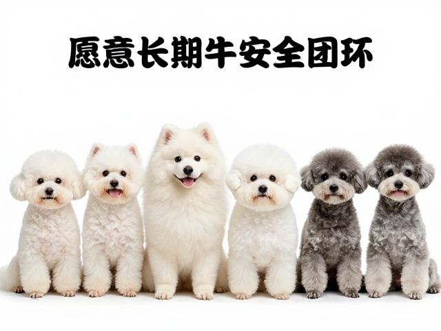 愿意做定期美容,寻求无条件信任的饲养人群看这里