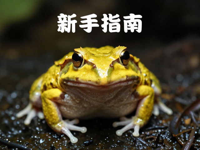 黄金角蛙白色趾垫特征,低维护需求新手饲养指南
