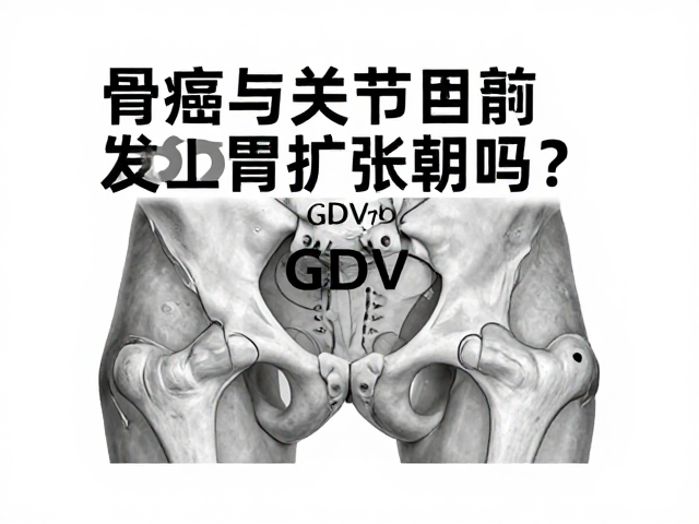 骨癌与髋关节问题会引发胃扩张扭转吗?GDV预兆解析