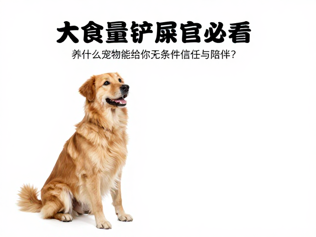 大食量铲屎官必看,养什么宠物能给你无条件信任与陪伴?