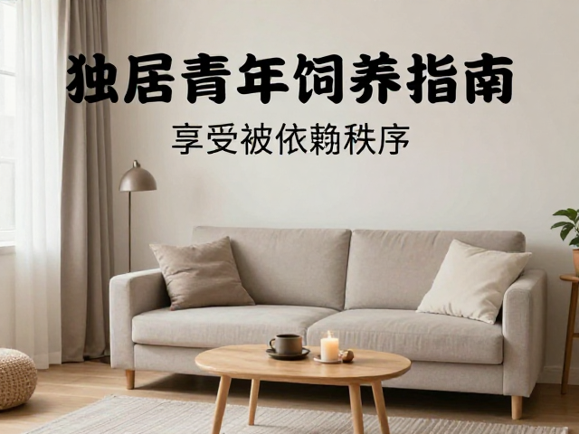 独居青年饲养指南,享受被依赖感,打造温馨和谐治愈空间