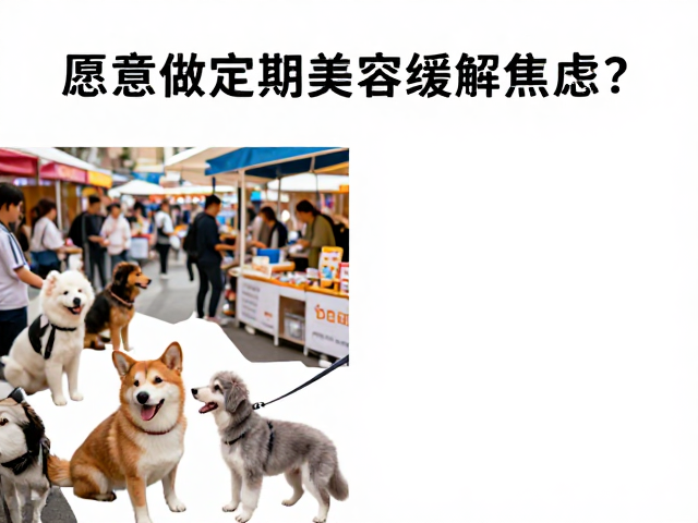 愿意做定期美容缓解焦虑?这类宠物饲养人群正成为主流