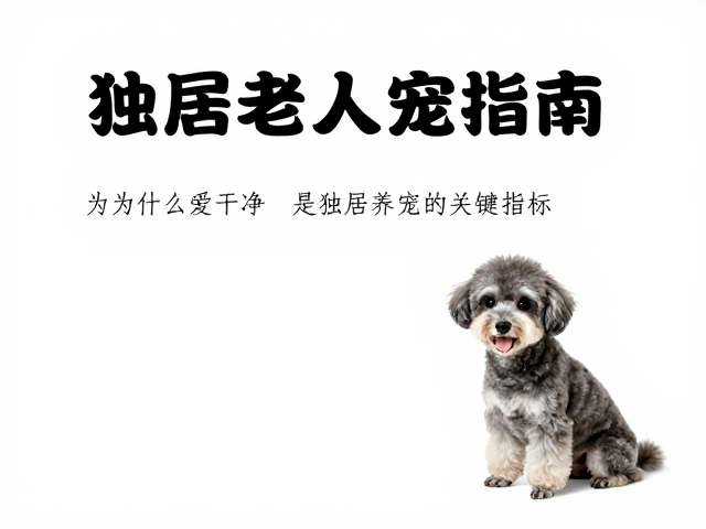 独居老人养宠指南，选只愿意做美容的宠物，缓解孤独感