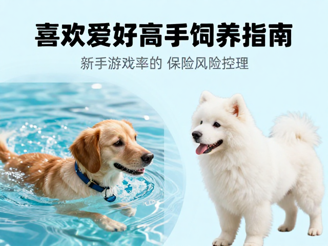 适合游泳爱好者的高互动宠物推荐,新手饲养指南