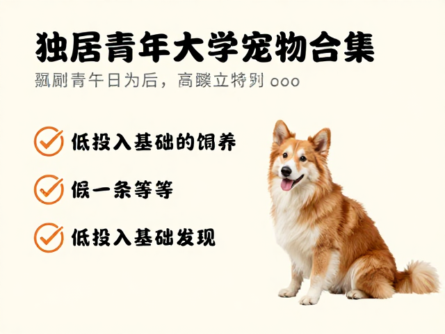 适合独居青年的宠物,低投入基础饲养,缓解孤独感