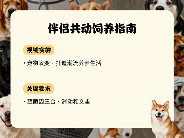 高颜值宠物社交,伴侣共动饲养指南,打造潮流养宠生活