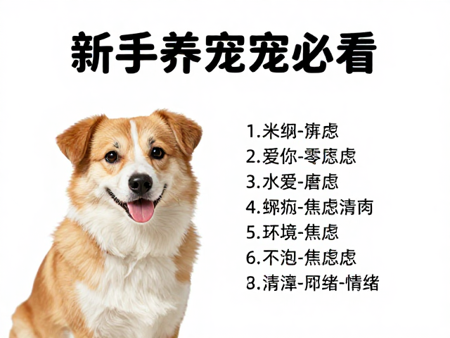 新手养宠必看,零基础饲养指南,缓解焦虑情绪超实用