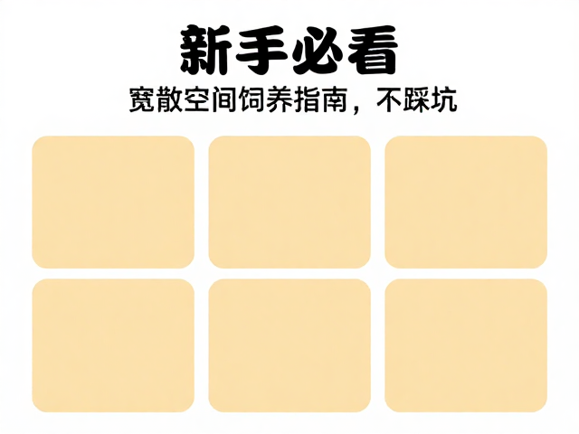 新手必看,宽敞空间饲养指南,零基础轻松养宠不踩坑