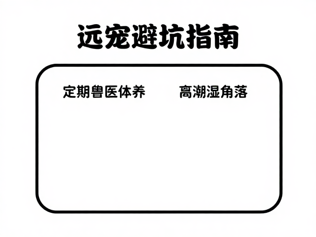 梳毛技巧,定期兽医体检,远离潮湿角落,养宠避坑指南