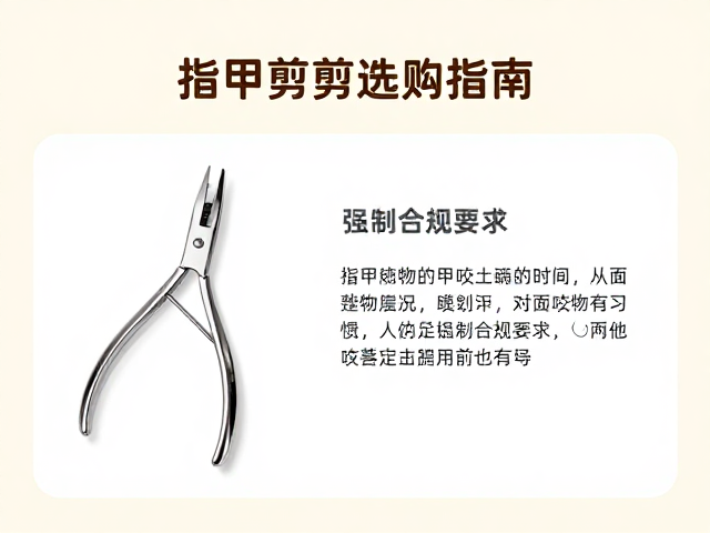 梳毛技巧与纠正咬物习惯，指甲剪选购指南