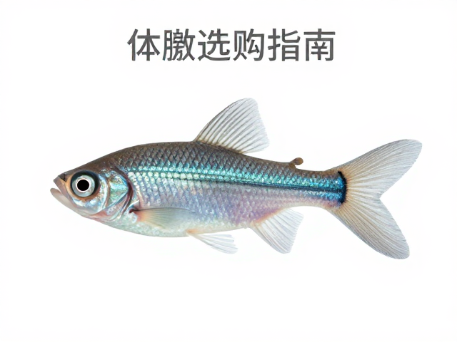 体色纯度高应激低,身体比例协调的观赏鱼选购指南