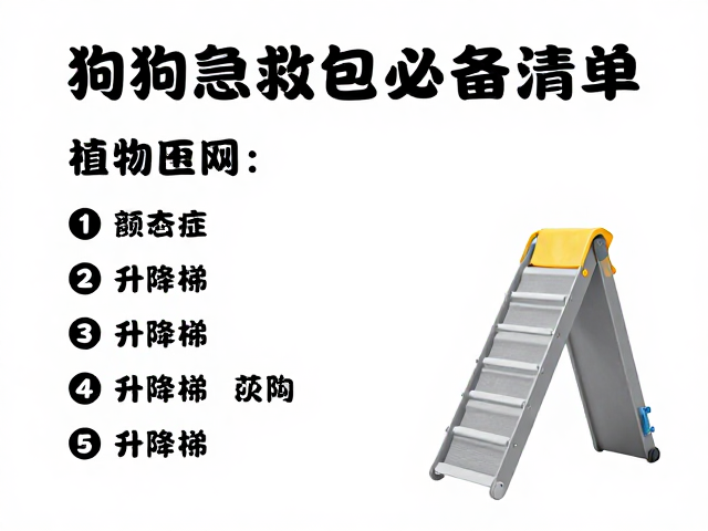 狗狗急救包必备清单，狗粮囤货与升降梯选购全攻略