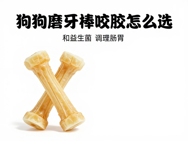 狗狗磨牙棒咬胶怎么选?搭配益生菌调理肠胃,科学喂养指南